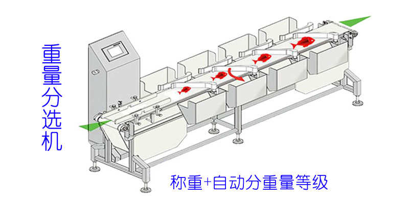 重量分選機(jī)-示意圖